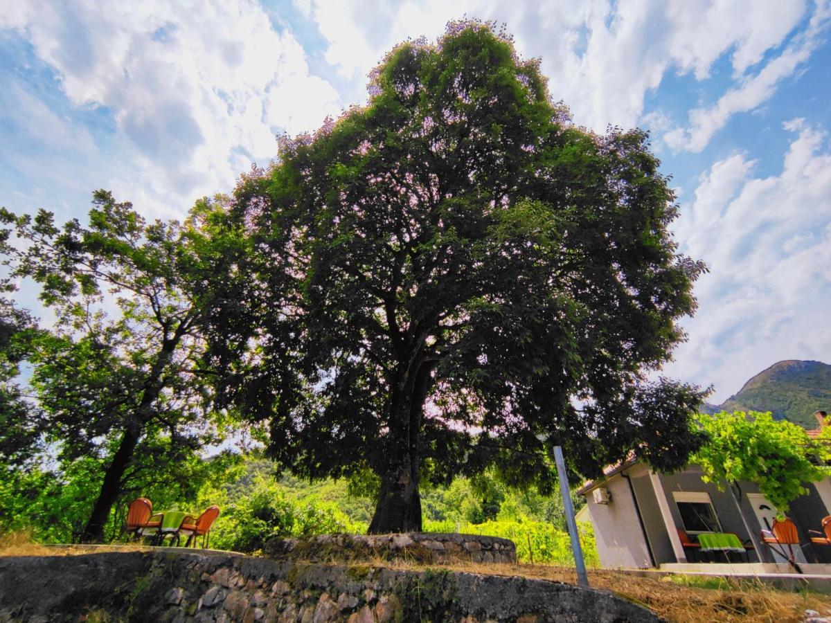 ヴィルパザル Celtis Shade Houseヴィラ エクステリア 写真